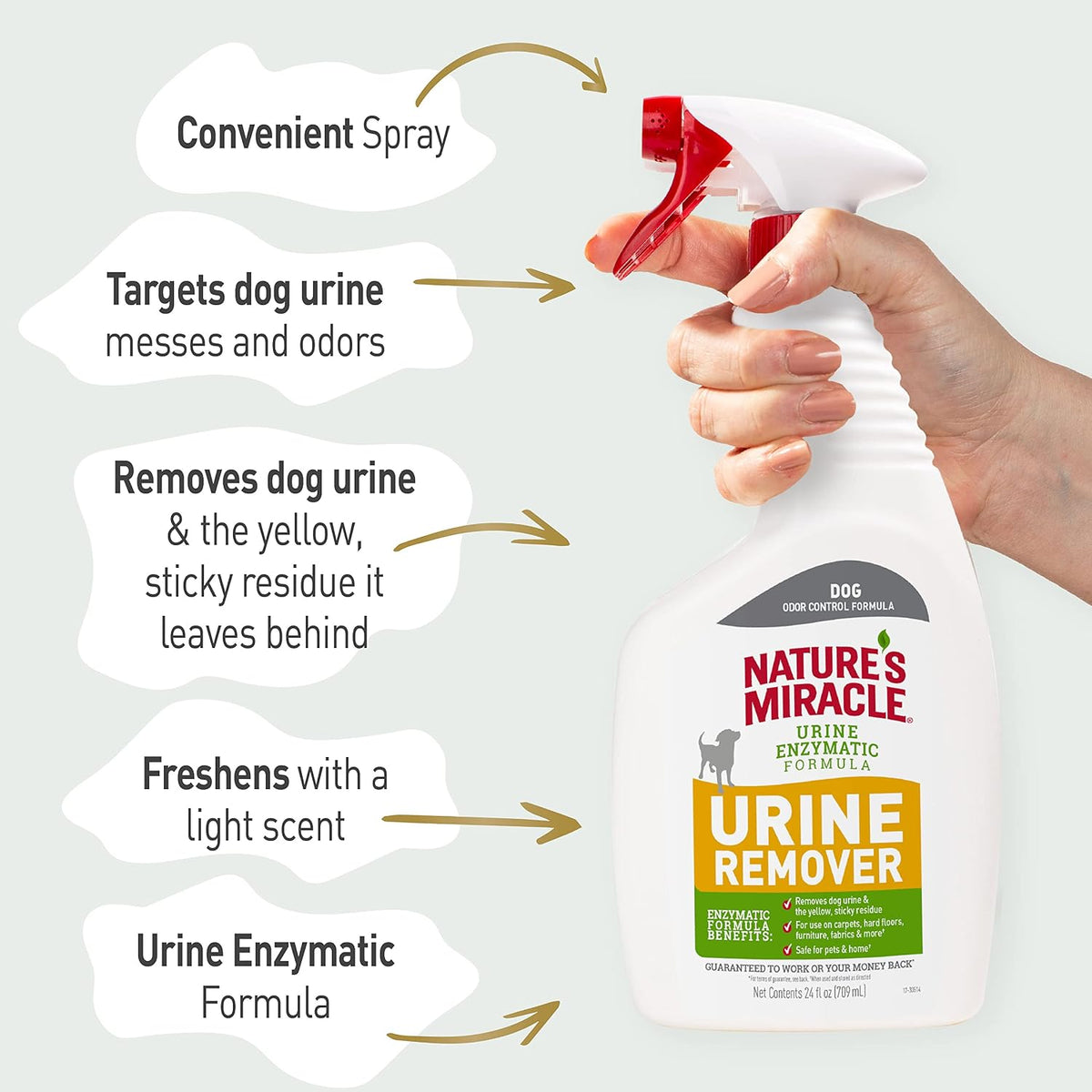 Dog Urine Remover, Enzymatic Cleaner, 24 oz