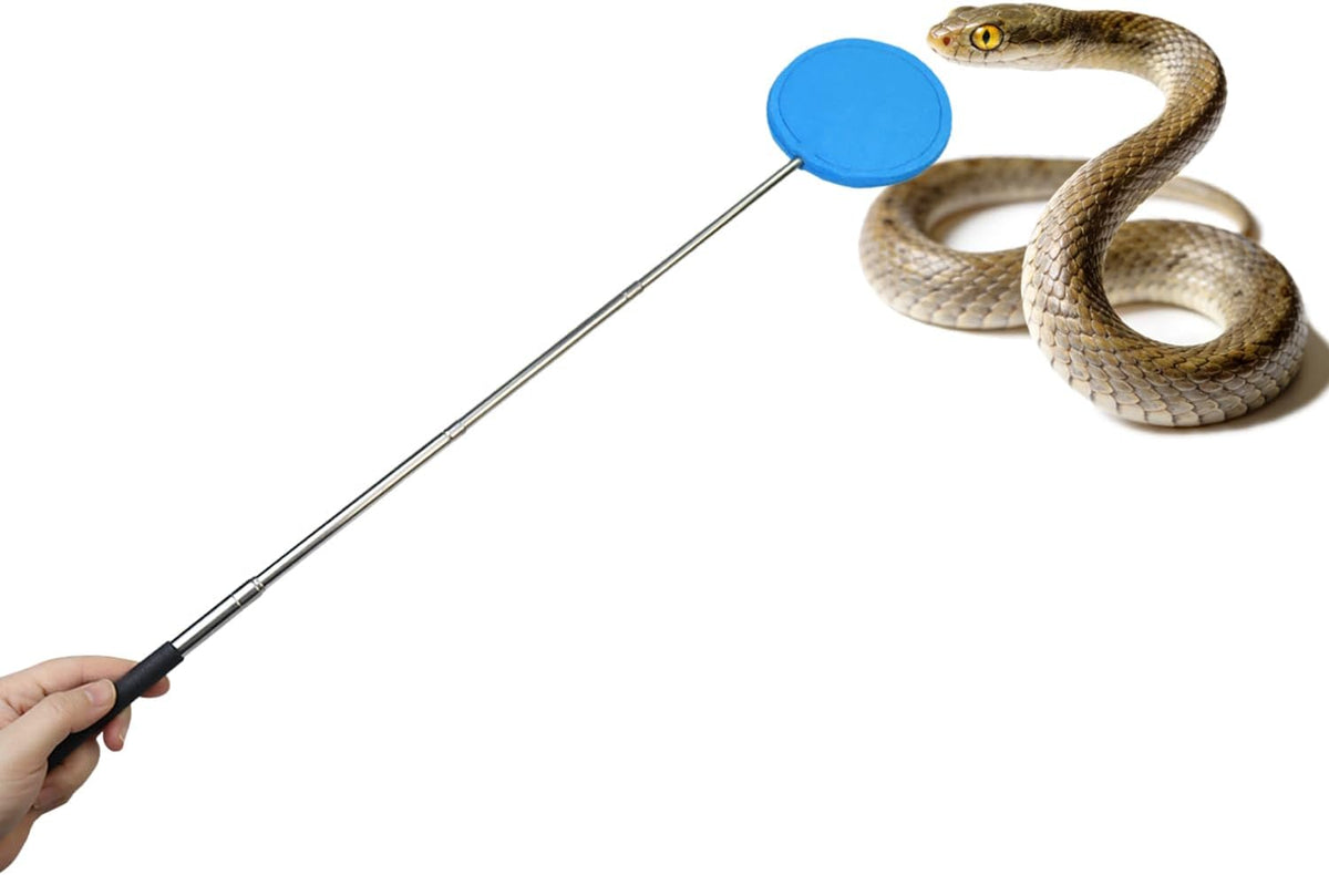 2 Pack Snake Training Target Stick Telescoping Reptile Target for Snake Enrichment, Gentle Handling & Interactive Training