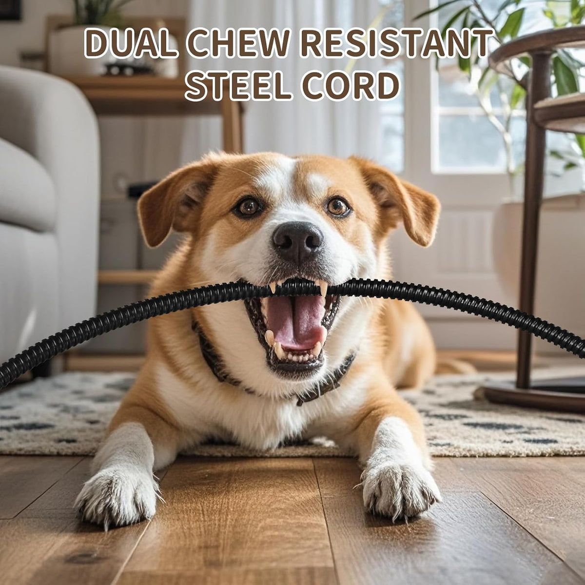 Pet Heating Pad with Timer, Adjustable Temperature, Waterproof, Chew Resistant Cord, Auto Power-Off, Electric Indoor Heated Mat for Dogs and Cats