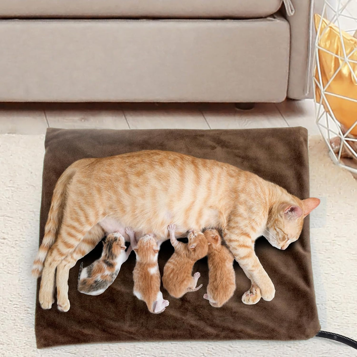 Pet Heating Pad with Timer, Adjustable Temperature, Waterproof, Chew Resistant Cord, Auto Power-Off, Electric Indoor Heated Mat for Dogs and Cats