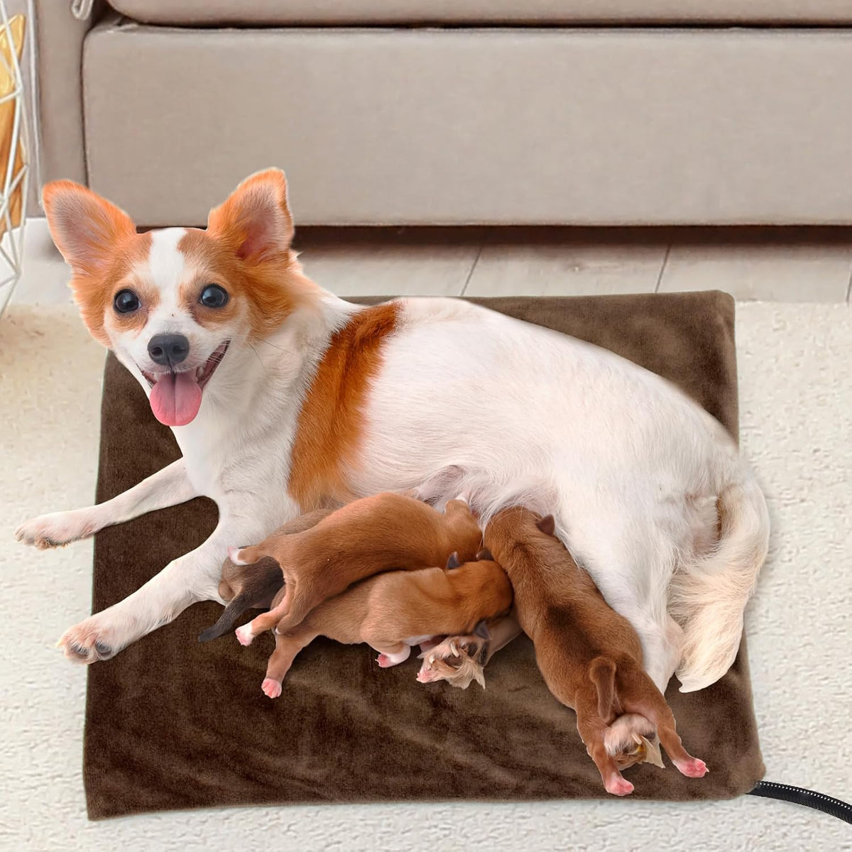 Pet Heating Pad with Timer, Adjustable Temperature, Waterproof, Chew Resistant Cord, Auto Power-Off, Electric Indoor Heated Mat for Dogs and Cats