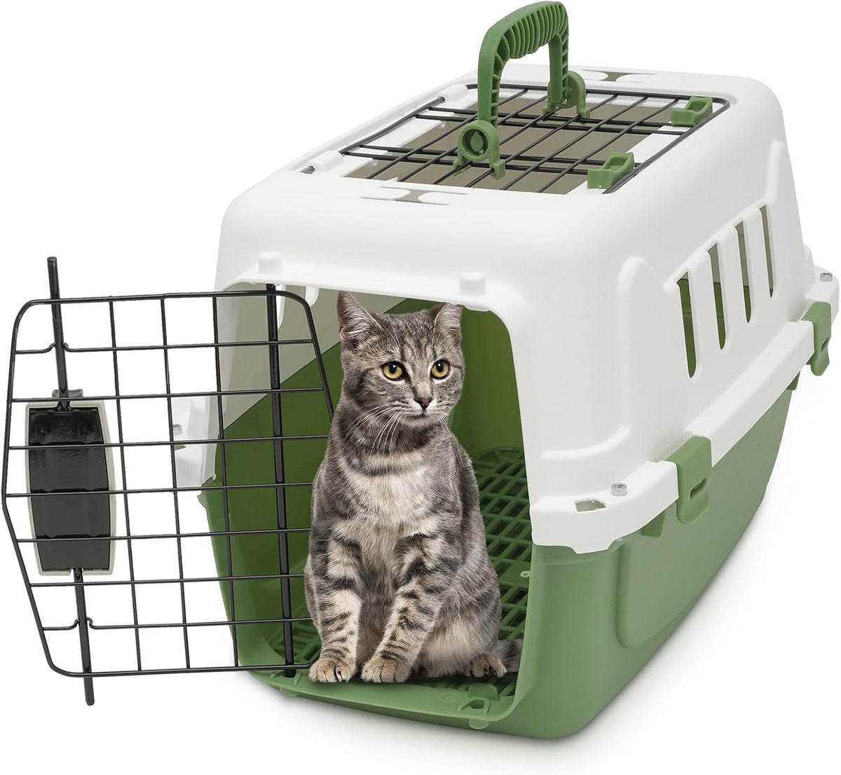 18 Inch Hard-Sided Plastic Dog Carrier 2 Door Travel Crate for Small Dogs Cats up to 10 lbs, Durable Handle, Security Lock Design, Green
