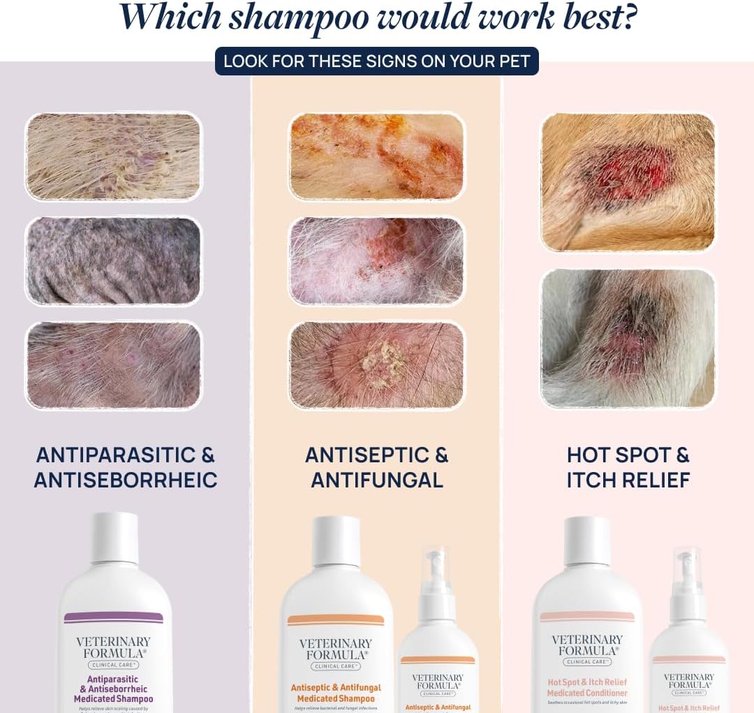 Clinical Care Antiseptic & Antifungal Spray, 8 fl oz