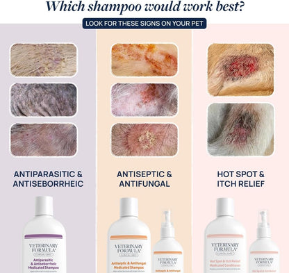Clinical Care Antiseptic & Antifungal Spray, 8 fl oz