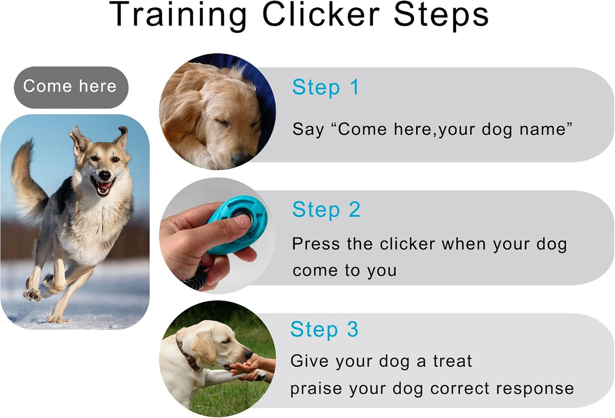 Pet Training Clicker with Wrist Strap - Dog Training Clickers for Puppy, Cat, Potty, Bird, Horse, Pet, Trainer Training Tools, Behavior Aids (Aqua + Jade Green + Blue + Lime Green)