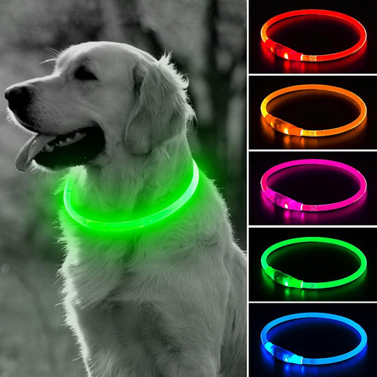 Light Up Dog Collar (Green 70cm)