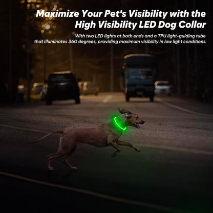 Light Up Dog Collar (Green 70cm)