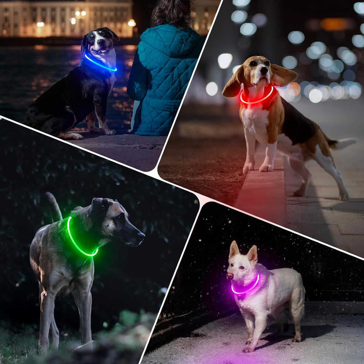 Light Up Dog Collar (Green 70cm)