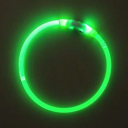 Light Up Dog Collar (Green 70cm)