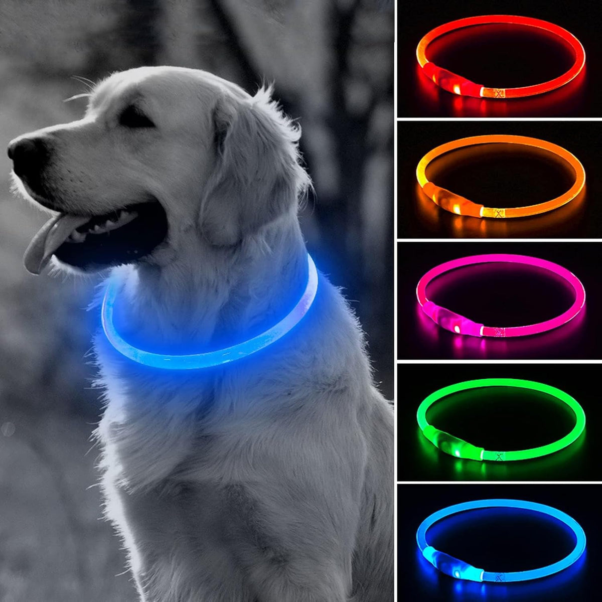 Light Up Dog Collar (Green 70cm)