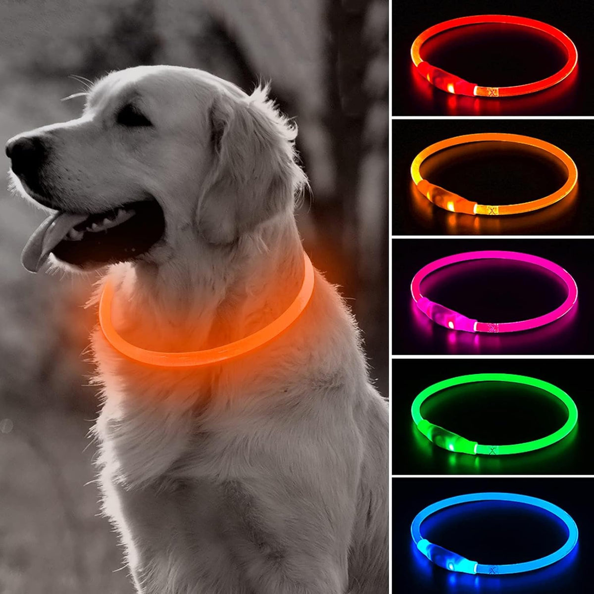 Light Up Dog Collar (Green 70cm)
