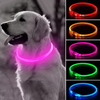 Light Up Dog Collar (Green 70cm)