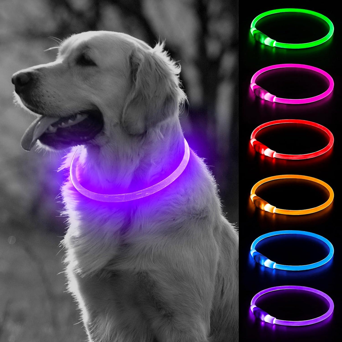 Light Up Dog Collar (Green 70cm)