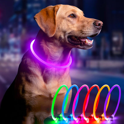 Light Up Dog Collar (Green 70cm)