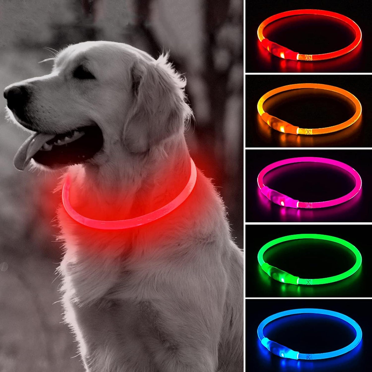 Light Up Dog Collar (Green 70cm)