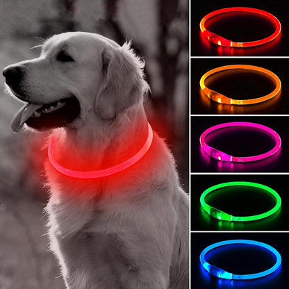 Light Up Dog Collar (Green 70cm)