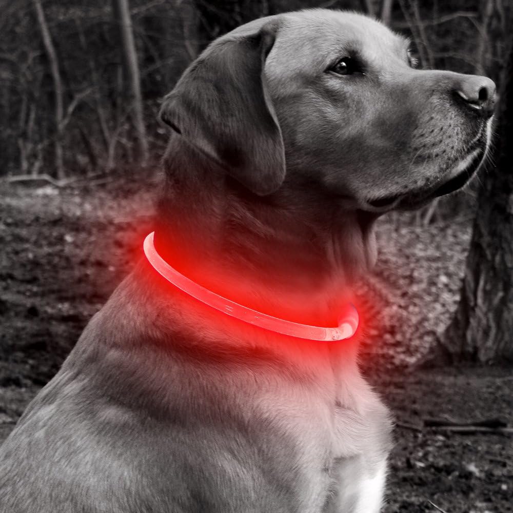 Light Up Dog Collar (Green 70cm)