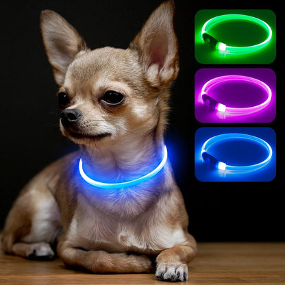 Light Up Dog Collar (Green 70cm)