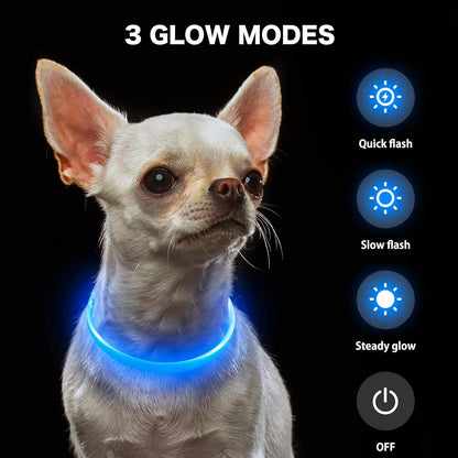 Light Up Dog Collar (Green 70cm)