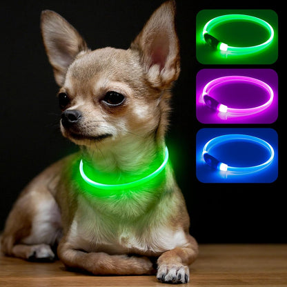 Light Up Dog Collar (Green 70cm)