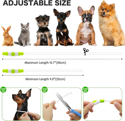 Light Up Dog Collar (Green 70cm)