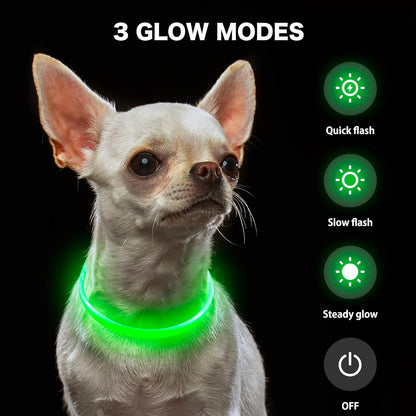 Light Up Dog Collar (Green 70cm)