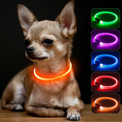 Light Up Dog Collar (Green 70cm)
