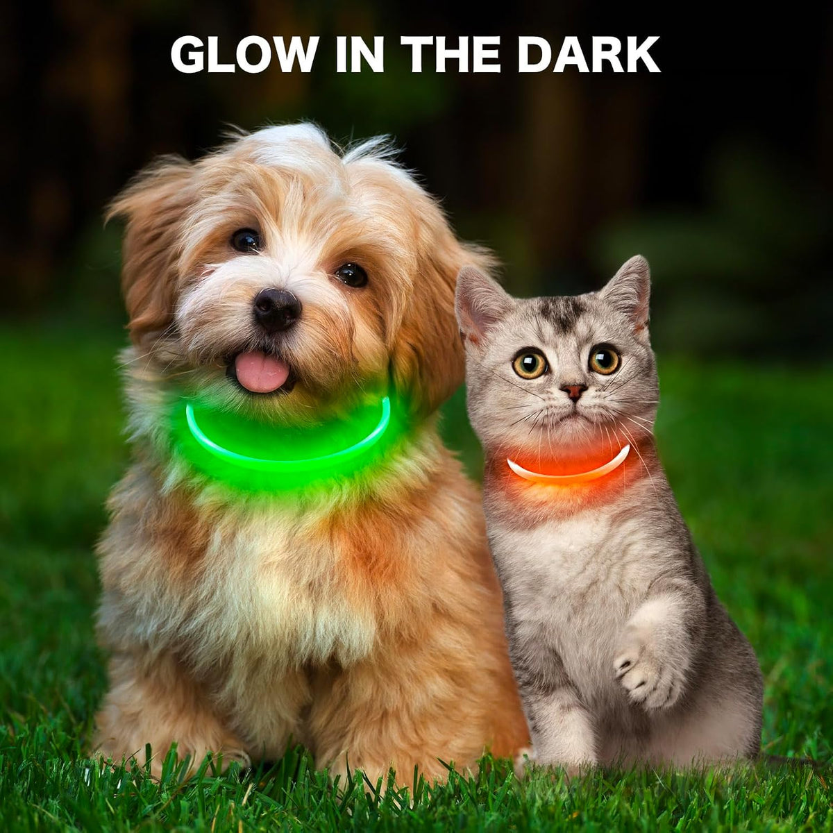 Light Up Dog Collar (Green 70cm)