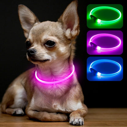 Light Up Dog Collar (Green 70cm)