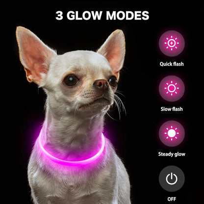 Light Up Dog Collar (Green 70cm)