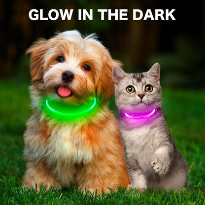 Light Up Dog Collar (Green 70cm)