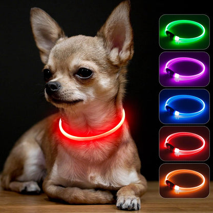 Light Up Dog Collar (Green 70cm)
