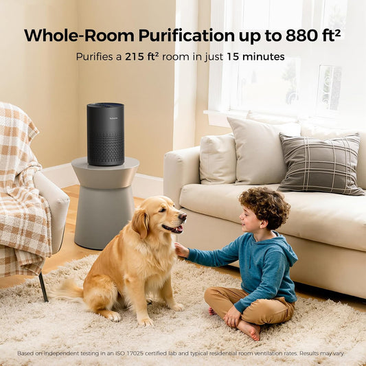 Air Purifiers for Bedroom, Covers Up to 880 Sq Ft, PX500 Black