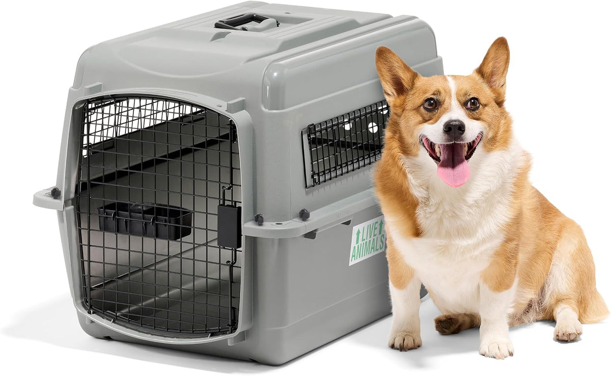Sky Kennel for Air Travel, 21in Dog Crate for Pets up to 15lbs
