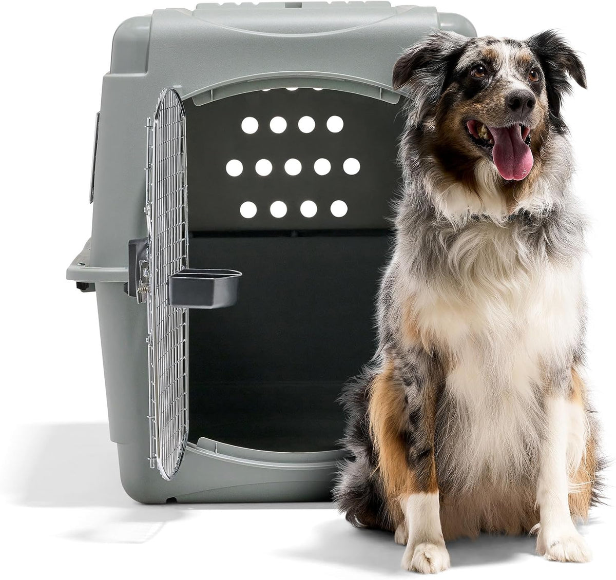 Sky Kennel for Air Travel, 21in Dog Crate for Pets up to 15lbs