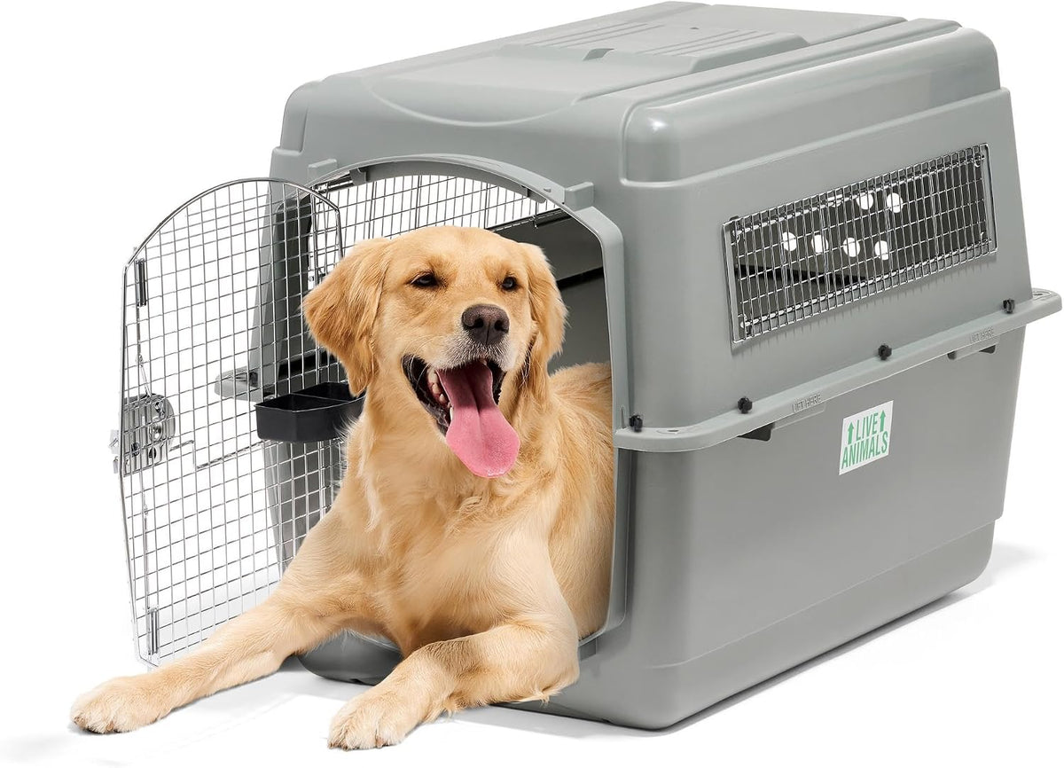 Sky Kennel for Air Travel, 21in Dog Crate for Pets up to 15lbs