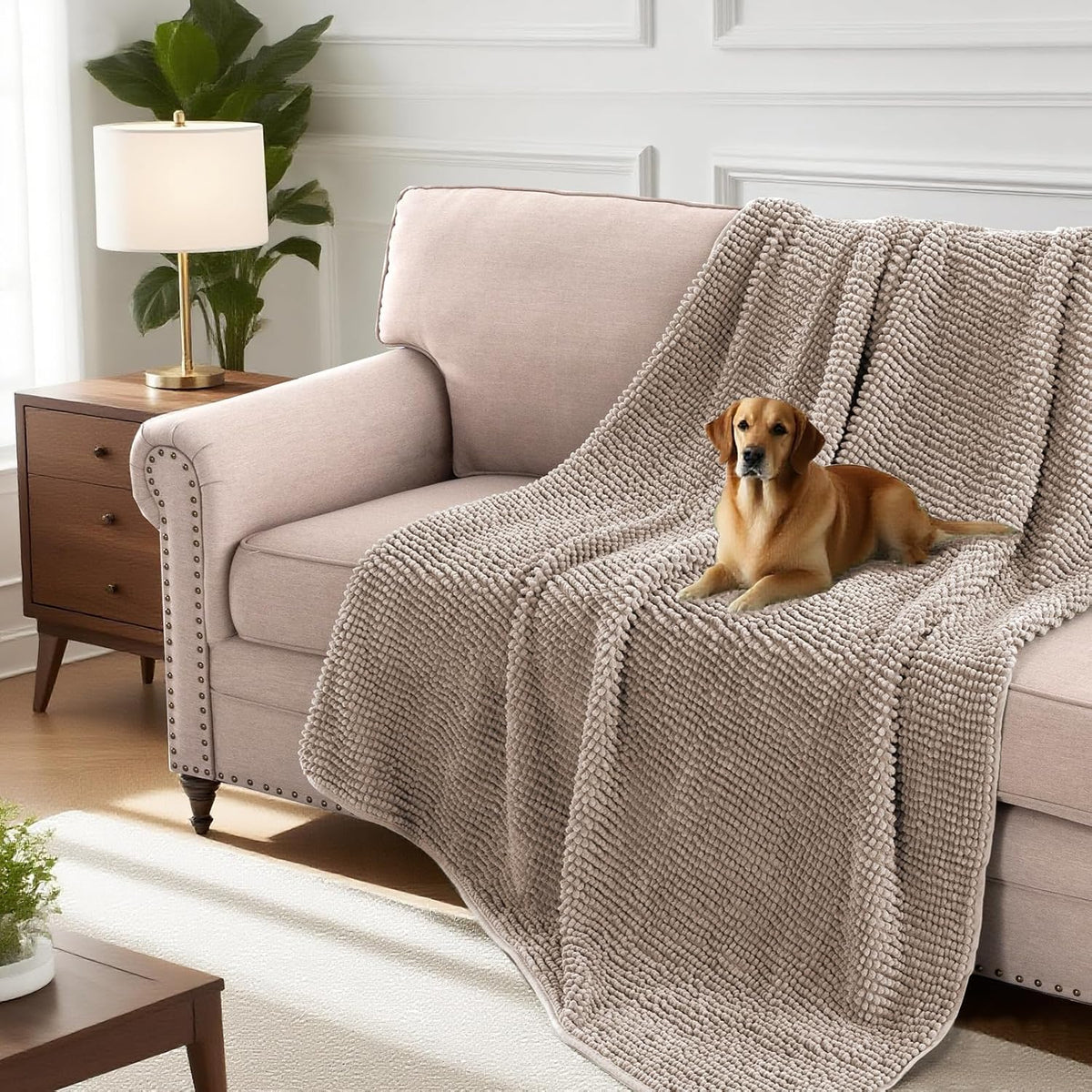 Plush Chenille Dog Bed Cover Thick Soft Sofa Cover for 3 Cushion Couch Anti Slip Couch Cover Furniture Protector for Dog, Pet, Cat (35" x 82", Ivory)