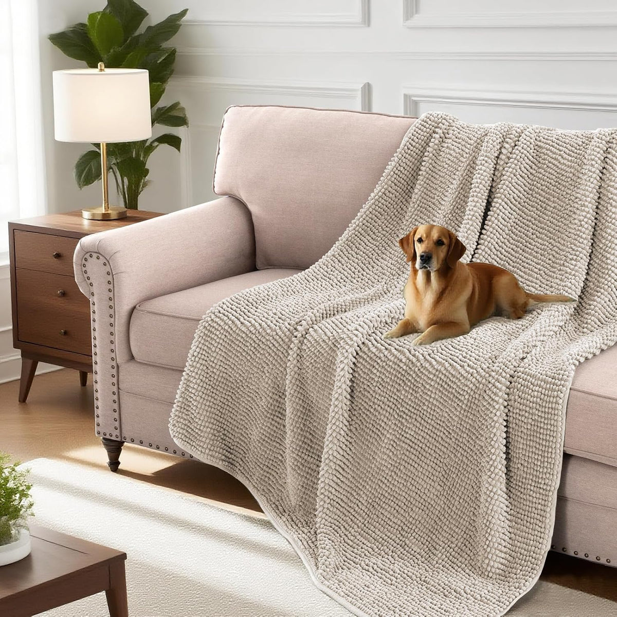 Plush Chenille Dog Bed Cover Thick Soft Sofa Cover for 3 Cushion Couch Anti Slip Couch Cover Furniture Protector for Dog, Pet, Cat (35" x 82", Ivory)
