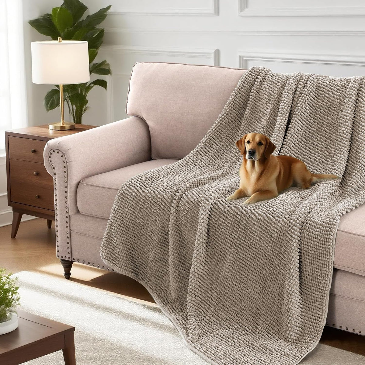 Plush Chenille Dog Bed Cover Thick Soft Sofa Cover for 3 Cushion Couch Anti Slip Couch Cover Furniture Protector for Dog, Pet, Cat (35" x 82", Ivory)