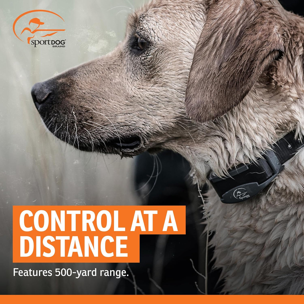 FieldTrainer 425X Remote Trainer, 500-Yard Range, Waterproof
