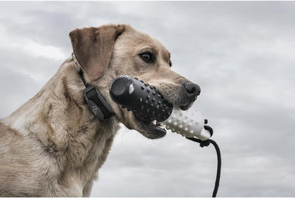 FieldTrainer 425X Remote Trainer, 500-Yard Range, Waterproof