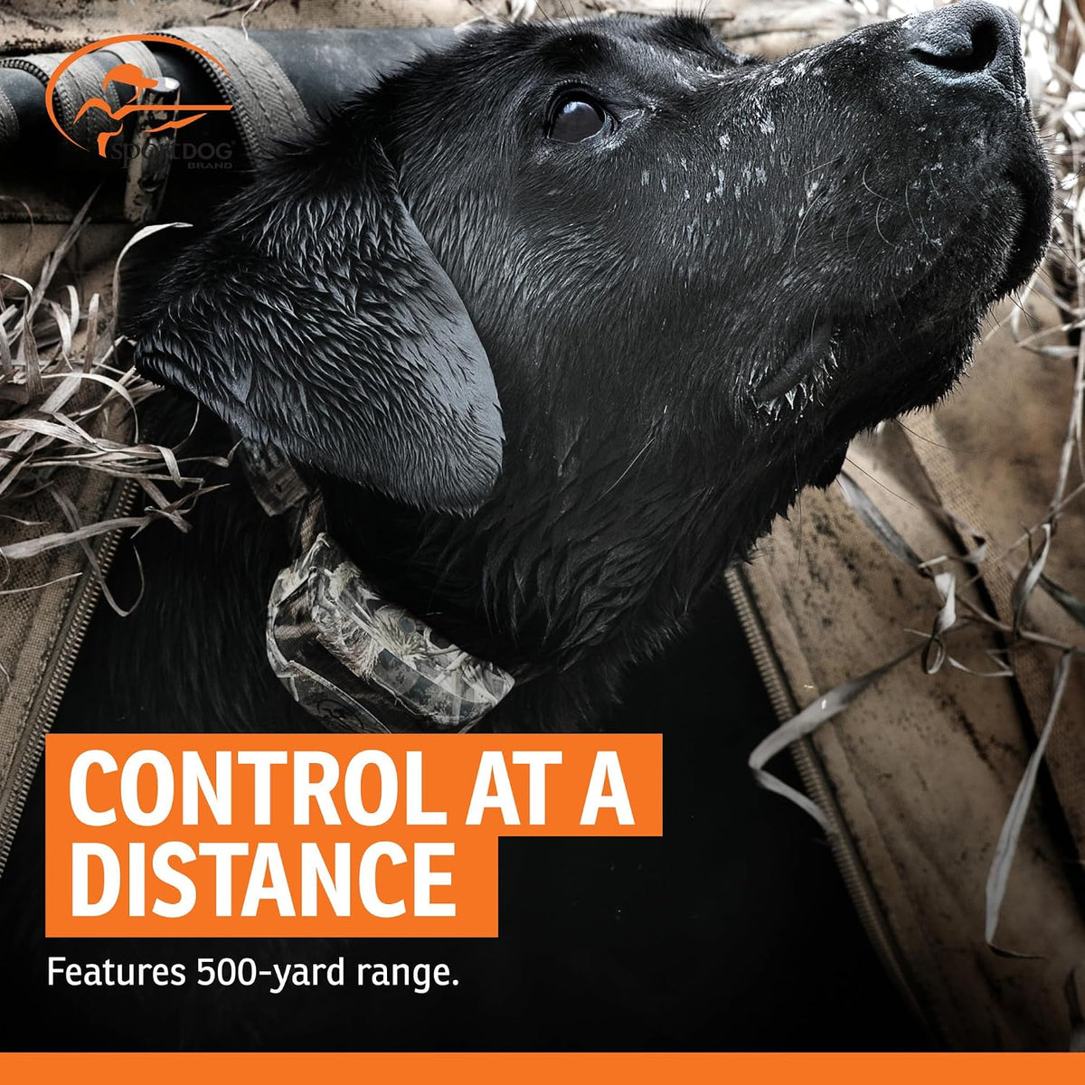 FieldTrainer 425X Remote Trainer, 500-Yard Range, Waterproof