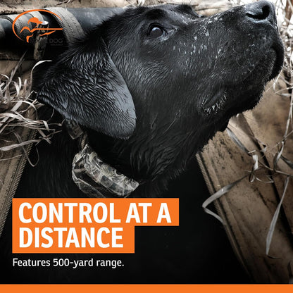 FieldTrainer 425X Remote Trainer, 500-Yard Range, Waterproof