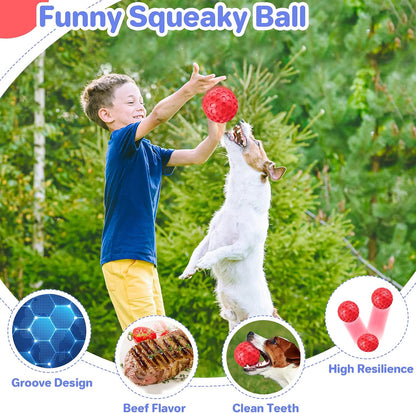 Indestructible Squeaky Dog Ball, Relieves Anxiety, Cleans Teeth, Interactive Chew Toy for Aggressive Chewers, Dog Toy for Large Breeds, Outdoor Waterproof