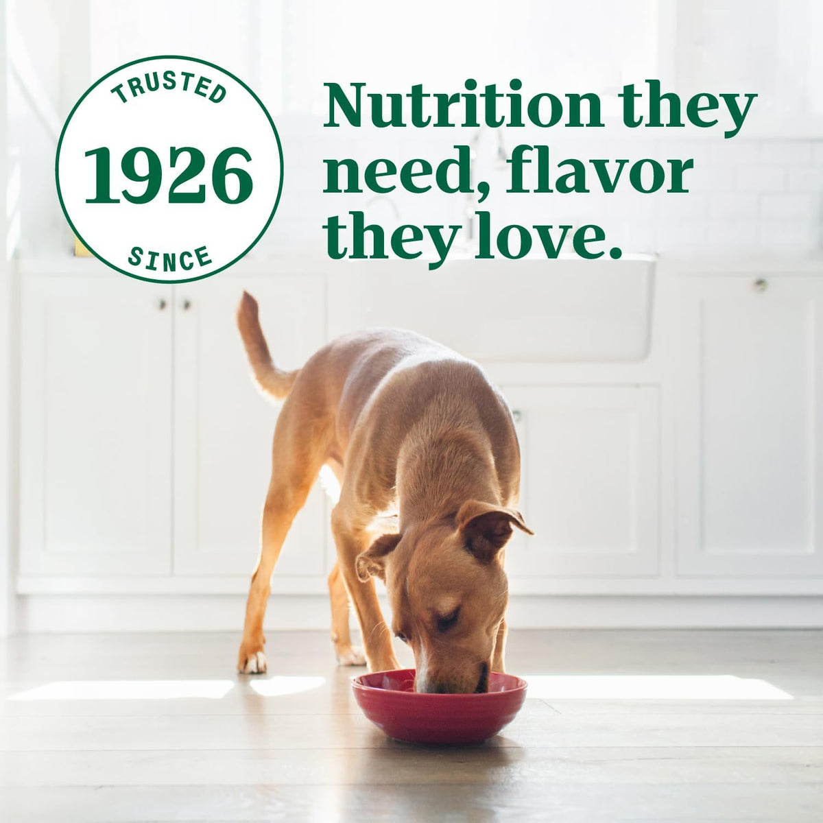Ultra Senior Pate Wet Dog Food, Trio of Proteins, 3.5 oz, 24 Count