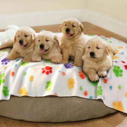 Fleece Dog Blankets 6-Pack, Soft Stretchy for Small Medium Puppy