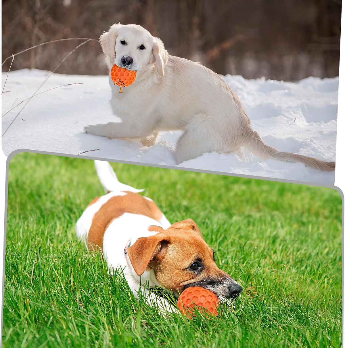 Tough Dog Chew Toys for Aggressive Chewers, Indestructible Dog Balls for Aggressive Chewers, Squeaky Balls for Dogs, Squeaky Toys for Large Dogs, Funny Heavy Duty Ball