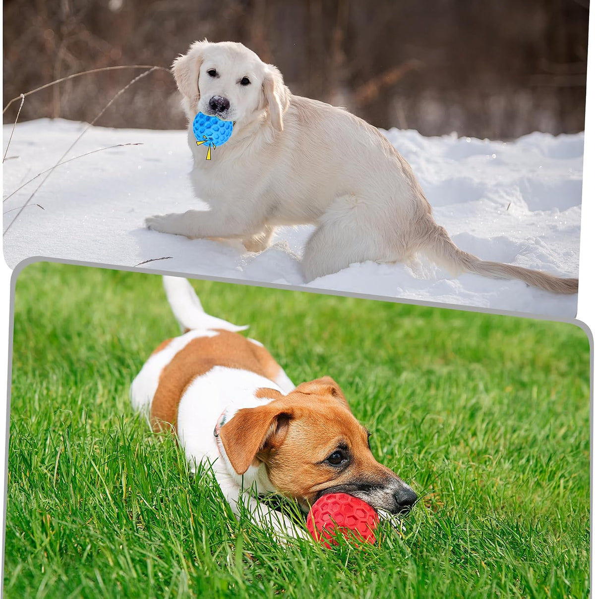 Tough Dog Chew Toys for Aggressive Chewers, Indestructible Dog Balls for Aggressive Chewers, Squeaky Balls for Dogs, Squeaky Toys for Large Dogs, Funny Heavy Duty Ball