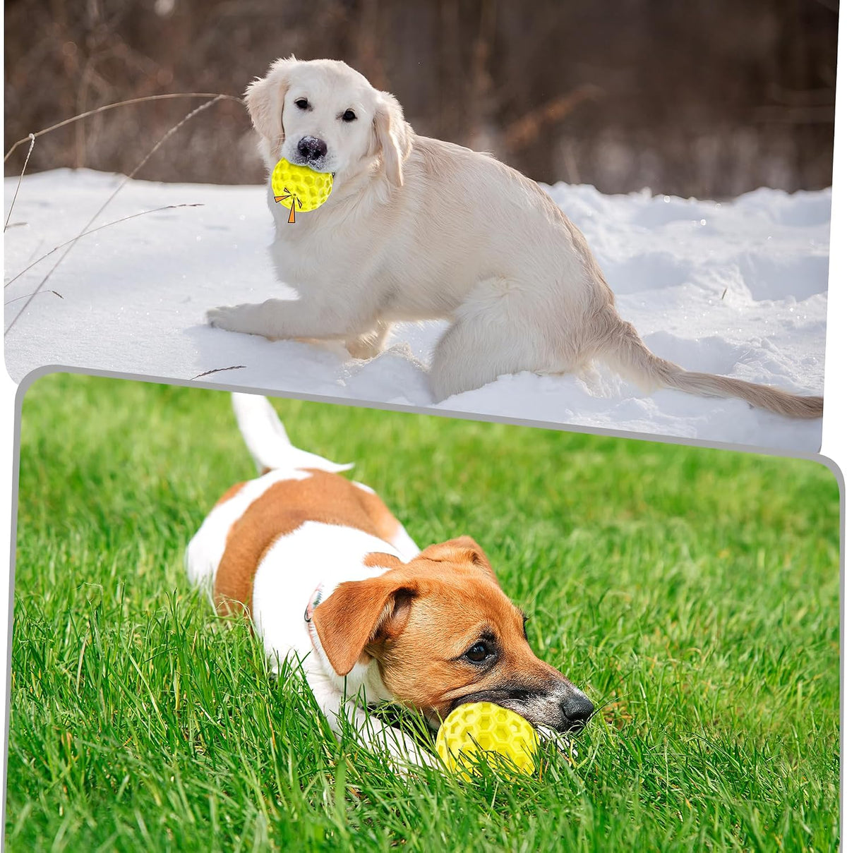 Tough Dog Chew Toys for Aggressive Chewers, Indestructible Dog Balls for Aggressive Chewers, Squeaky Balls for Dogs, Squeaky Toys for Large Dogs, Funny Heavy Duty Ball