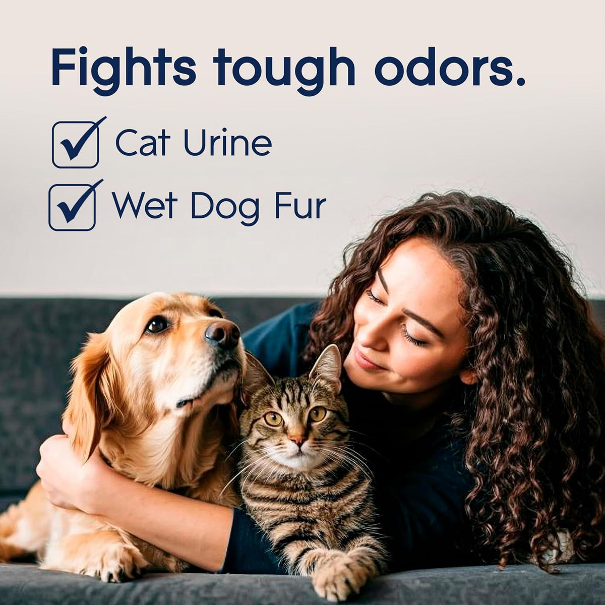Air Freshener Room Spray, Pet Fresh Scent, Odor Fighting to Deliver Long Lasting Freshness, 7.3 Oz, 6 Count